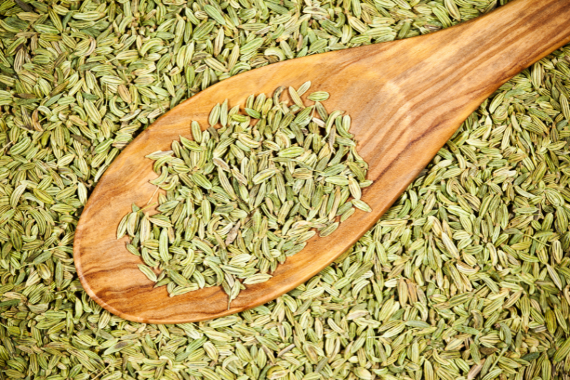Fennel Seeds (Saunf / Variyali)